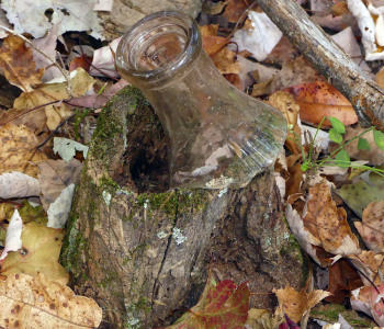 milk-bottle